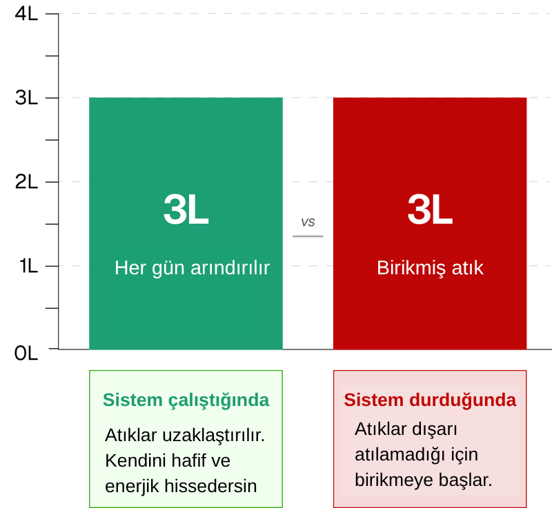 Comparison chart showing 'Processed daily' on green and 'Accumulated waste' on red with corresponding text boxes.