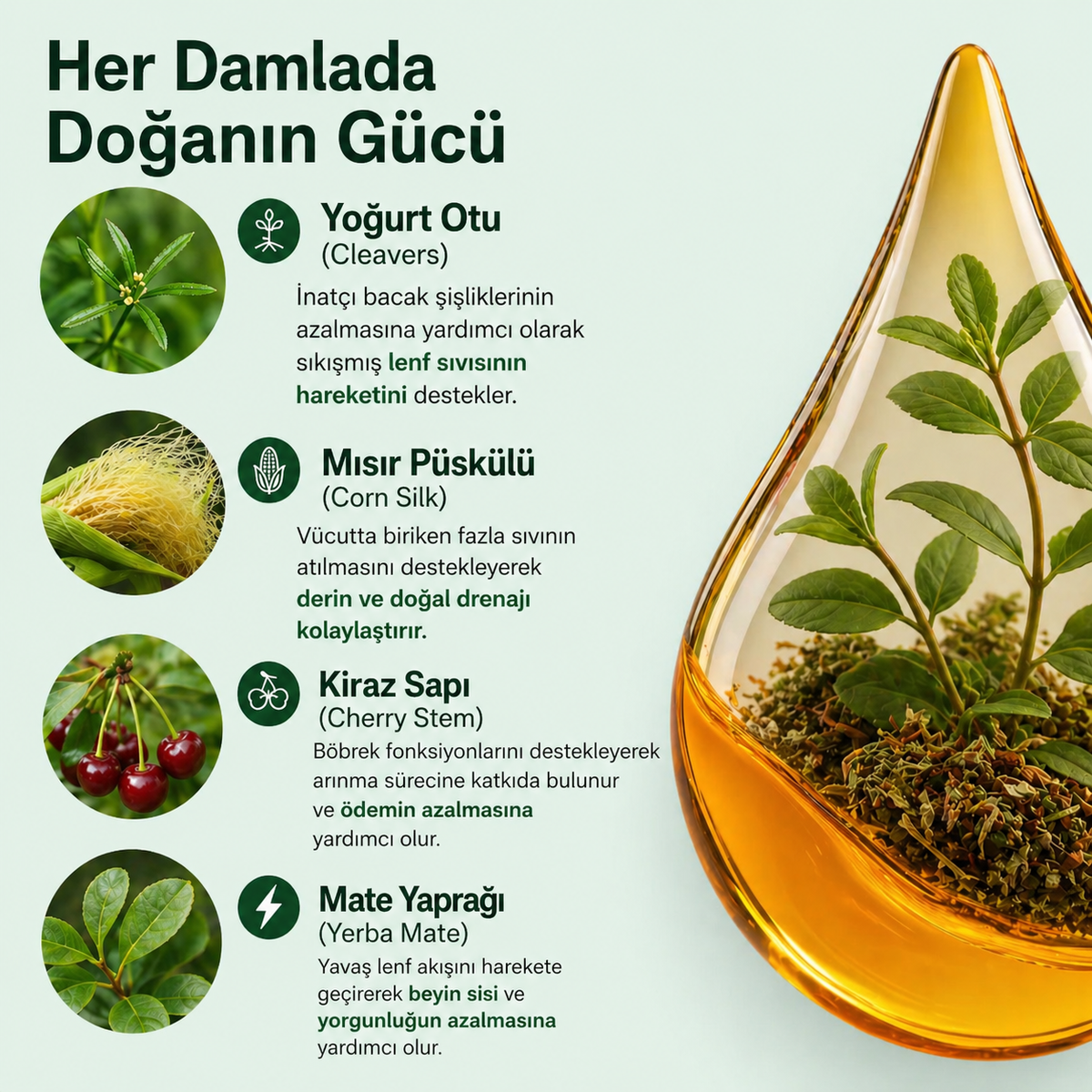Limforia Ödem Atıcı-Şişkinlik Karşıtı Lenf Detoks Damlası